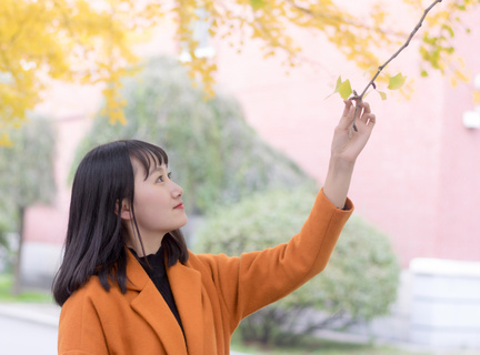 视频号获得推荐是什么意思